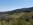 Mountain top vineyard on Spring Mountain